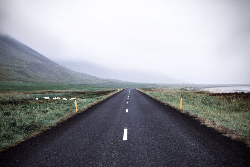 black asphalt road surrounded by green grass