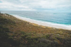 sandy shore with mossy ground washed by ocean